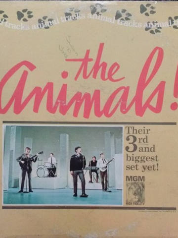 Animal Tracks