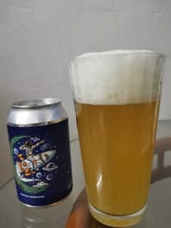 纵横四海 西楚酸ipa