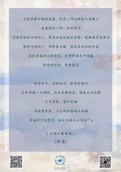 雏菊-资料图