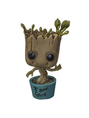 Groot