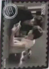 SSR【仲夏来信】