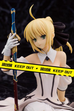 Saber Lily -资料图