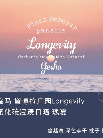 巴拿马黛博拉瑰夏Longevity二氧化碳浸渍日晒