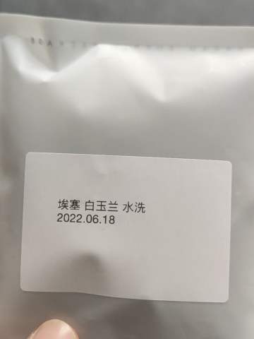 埃塞俄比亚  白玉兰