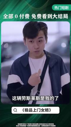 极品上门女婿