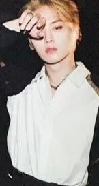 scars 成员卡2 Ver.D