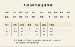 大翻领绣花撞色连衣裙-资料图