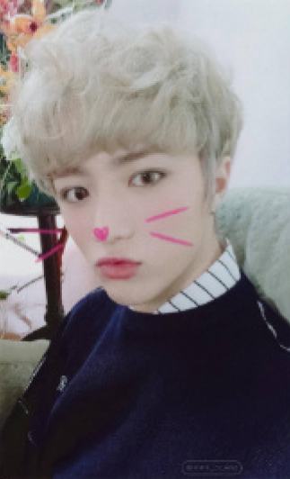 cat&dog ver.A