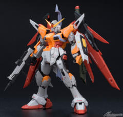 RG ZGMF-X42S 命运高达（海涅专用机）-资料图