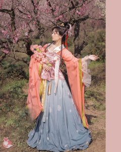 朱雀鸾歌-资料图