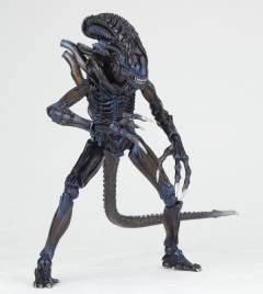 Revoltech Revoltech SFX 战斗异形-资料图