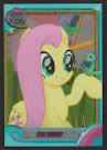 Fluttershy 