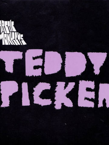 Teddy Picker