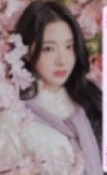 樱花卡s15 ver.B