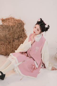 毛绒立领短袄方领绣花长比甲-资料图