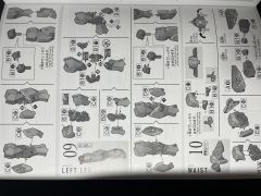 HGTWFM EDM-GB 高沃尔瓦-资料图