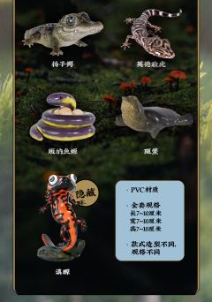 斑鳖-资料图