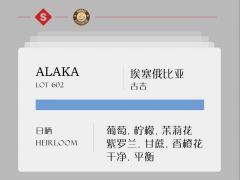 埃塞俄比亚古吉·ALAKA lot602