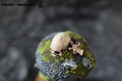 小石像-绿苔藓-资料图