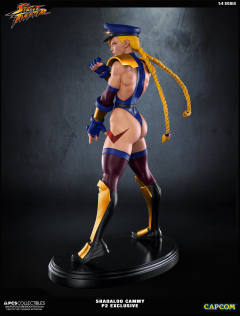 Mixed Media 嘉米·怀特 Shadaloo Cammy-资料图