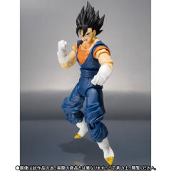 SHF 贝吉特-资料图