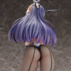 Character's Selection 绯奈泽智花 Bunny ver.-资料图
