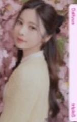 樱花卡s10 ver.A