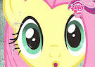 Fluttershy