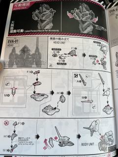 RG EVA-01 EVA初号机 bilibili联名限定彩透版-资料图