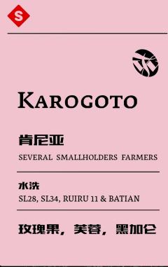 肯尼亚karogoto