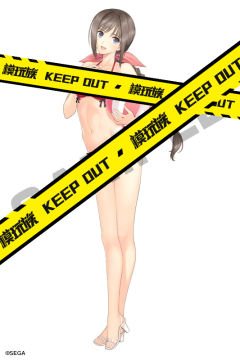Shining Beach Heroines 妮莉丝·菲林姆-资料图