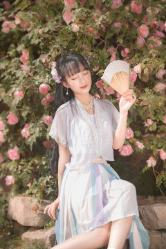 香芋波波-资料图