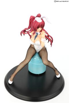 向坂环 Bunny ver.-资料图
