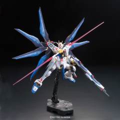 RG ZGMF-X20A 强袭自由高达-资料图