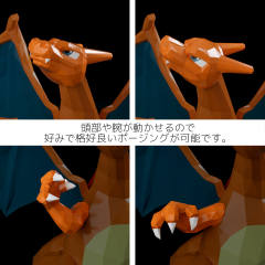 Polygo 喷火龙 -资料图