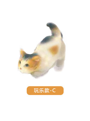 玩乐款C