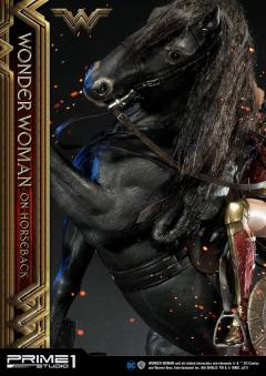 神奇女侠 On Horseback-资料图
