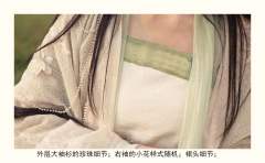 蒹葭与白露-资料图