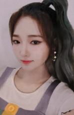 签售卡4