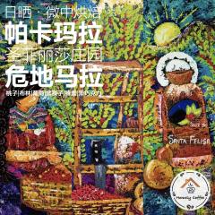 危地马拉圣菲丽莎庄园·帕卡玛拉