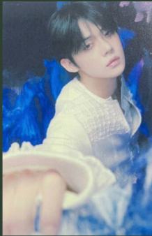 Universal Music Store ver.B