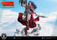 神奇女侠 Rebirth Edition-资料图