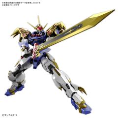 HG Amplified IMGN 龙神丸-资料图