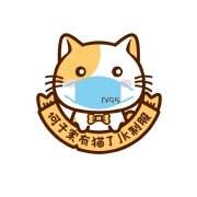 何子家有猫了