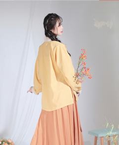 明制立领短衫-资料图