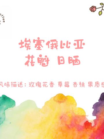 埃塞俄比亚 花魁6.0 日晒 2022新产季