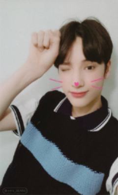 cat&dog ver.A