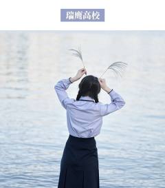 瑞鹰高校·套装-资料图