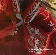 龙吉公主-资料图