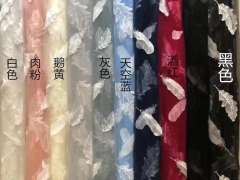 翎羽-资料图